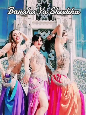 A post by @tharsisbellydance on TikTok caption: we love this place @Shahla Sousa @Paula BellyDina @Laura Nazli #compañiadedanza #bellydance #dancecompany #bellydancetiktok #bellydancer #bellydancecompany #rakssharki #danzaoriental #danzadelvientre #orientaldance #danzaarabe #lovebellydance #wedding #lovebellydancing #spain #sevilla #tiktokbellydance 