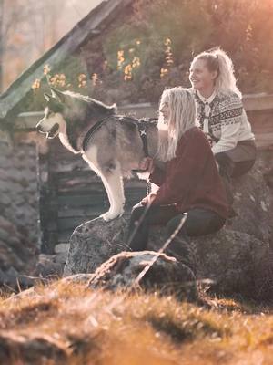 A post by @mariestokka on TikTok caption: When you’re in a Norwegian fairytale 🐺🌿 #adventuregirl #norge #norway