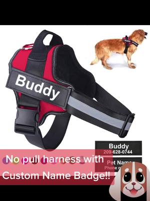 A post by @matthewsmarketplace.com on TikTok caption: This harness is 🔥  Custom name badge reflective strip for visibility at night. No pull design to reduce injuries.    made for pups of all shapes and sizes. 