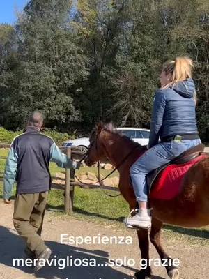 A post by @elisabettamennun2 on TikTok caption: @SZJ arabians esperienza unica...gentilezza e professionalità top! un sogno che si avvera ❤️#cavalliditiktok #cavallichepassione #toscanaitaly #murlo 