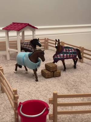 A post by @schliech._.stopmotion on TikTok caption: We lost Siesta due to Colic. May she rest in peace❤️🕊️.                                      #spreadingawarness #colichorsesawarness #horses #schliech #foryoupage #fyp #viral