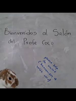 A post by @the.cocoo on TikTok caption: Coco maestro pt7 #🥥 #coco #conejo #maestro #profe #calculo #derivar #tutorial #clases #bunny #rabbit #viral #videoviral #tiktok #fyp #parati #tiktokviral #clases 