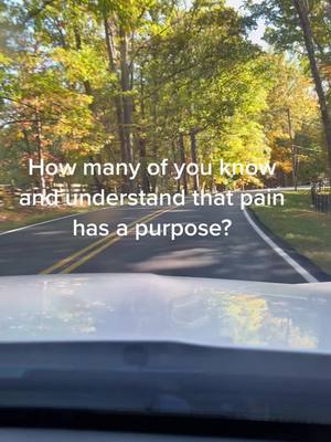 A post by @h.and.bs.dad2320 on TikTok caption: Back after a long time away!-Purpose in pain. #godsword #christiantiktok #driving #sunnyday#purpose 