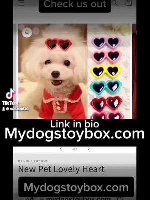 A post by @m76491620 on TikTok caption: #trending #tiktok #fyp #dog #viral #pov