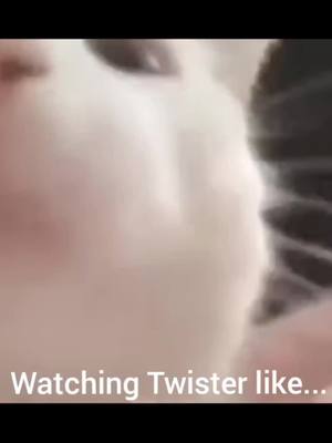 A post by @cory_phillips on TikTok caption: @twister_fanatics 