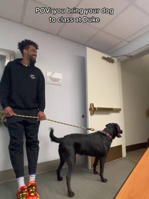 A post by @slimjake_ on TikTok caption: The reactions were priceless…🧐🐕‍🦺✏️🐾 #dukeuniversity #dukembb #dogtok #distinguishedgentleman #dukestudents #dogsoftiktok #dogs #professor #duke 