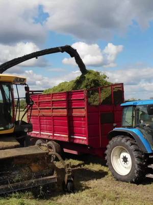 A post by @offaly_agri_photography on TikTok caption: Wont be long now! #silage #sillyseason #masseyferguson #fyp #case #newholland #madforgrass