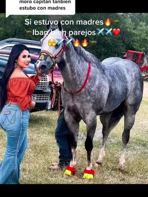 A post by @racingcm07 on TikTok caption: Replying to @reneruiz452 moro capitan vs el superman 🔥🔥🐎🐎 #horseracing #foryou #carrerasdecaballos #parati #fyp #corridosdecaballos #corridosperronesmx #corridosperronesmx #corridosperronesmx #jockey #losalamitosracetrack #laberinto #satevoracetrack🔥🏇🍀 #CMracing #empressum🔥🏇🏻 #trumpmyrecord🏇💨 #shaman #caballostiktok #viral 