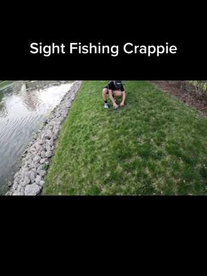 A post by @j.s_fishing0 on TikTok caption: Starting a new YT channel #fyp #pondfishing 