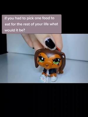 A post by @lps_seasick on TikTok caption: just ignore how she doesn't have a second earring.. #lps #littlestpetshop #lpstok #lpstube #lpscollector #lpsseasick #lpstiktoker #lpstiktok