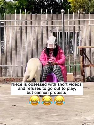 A post by @andy.wsh on TikTok caption: 😂#fyp #labrador