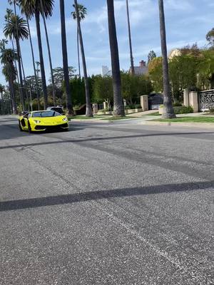 A post by @biancapalmerin on TikTok caption: Typical day in Beverly Hills🫣 #lamborghini #lambo #beverlyhills #supercar #cartok #svjroadster #car #cargirl #fyp