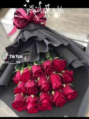 A post by @ibrahimibrahim3354 on TikTok