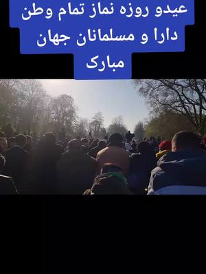 A post by @behnamshahmohamma on TikTok