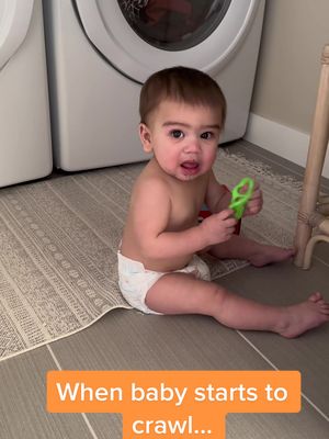 A post by @threegoldenfloofs on TikTok caption: Anndddd now there are dog fluffs all over his mouth 😂 this kid is MOTORING. Safe to say the laundry room door is now shut, along with all of the other doors #momtok #crawlingbaby #foryoupage #whereareyou 