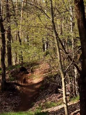 A post by @nancy.freeride on TikTok caption: @Hxlene_mtb @timbaesslergmxde @lennard_derdritte_ @arxn @celine.mtb @ver______schlafener 