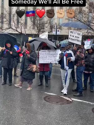 A post by @snataliec on TikTok caption: WE need our FREEDOM , Haiti Libre ✊🏿✊🏼❤️🇭🇹🖤✊🏽#nojusticenopeace #viral #nojusticenopeace✊🏿✊🏾 #haiticherie🇭🇹🇭🇹🇭🇹🇭🇹 #manifestationmontreal #justiceforpresidentjovenelmoïse #freedomforhaiti #fightforourrights #justiceandfreedom #haitiantiktok #justiceforhaiti #haitian #haitiantiktok509 #haitiantiktok🇭🇹 #haitiennetiktok🇭🇹🇭🇹🇭🇹🇭🇹😍😍😍😍 