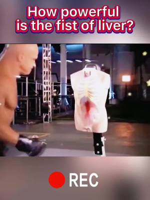 A post by @fighting_skills on TikTok caption: How powerful is the fist of liver? 🔥🔥🔥 @fighting_kungfu6 #fighting #kungfu #combat #UFC #fyp