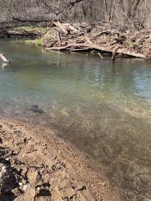 A post by @skap1286 on TikTok caption: #troutfishing #minnesota #whitewater #peaceful #kickasslife #Outdoors #lovelife #relaxing