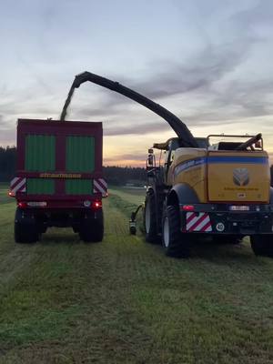 A post by @biogasanlage_kees on TikTok caption: Wer hat bock auf 1Schnitt? #johndeere #2023 #masseyferguson #newholland #fendt #724profiplus #gülle #zubringerballern #krone #weidelgras #strautmann #güllefahren #holmerterravariant #dorfkind #ichbineindorfkind #mähen #häckseln2022 #tbt #häckseln #mf 