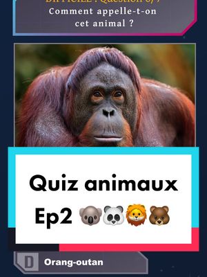 A post by @quizorama on TikTok caption: Oui je sais l’abeille n’est pas un animal, j’ai vu ça après 🤣 lien vers la partie 1 : @quizorama #quiz #animaux #quiztime #insectes 