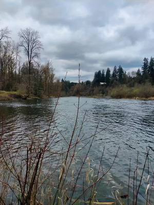 A post by @arvid_13 on TikTok caption: Best way to spend my Birthday & break from TT, Caught my first Steelhead. Living my best life 🫶🏼