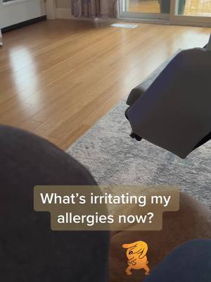 A post by @chrissyvilly23 on TikTok caption: Oh, Im only taking two pills a day for allergies - and this one is still causing issues…lucky she’s cute!! 😝  #allergies #dogs #sneezy 