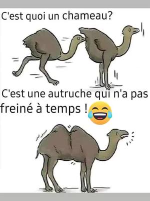 A post by @saradesousa01 on TikTok caption: #pourtoi #humour #jemamusecommejepeux 