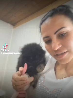 A post by @semrarashkova249 on TikTok