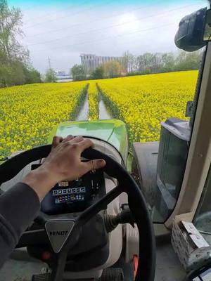 A post by @karmerfarmer on TikTok caption: #fendt #agriculture #amazoneux11200 #ux11200 #ux11201 #amazoneux11201 #fendt1050 #isobus #amazone #raps #rapsblüte #keinebienenbei10grad