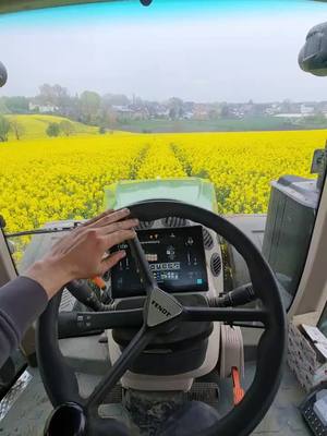 A post by @karmerfarmer on TikTok caption: #amazone #ux11201 #amazoneux11201 #fendt1050 #fendt #agriculture #fendt #keinebienenbei10grad #raps #rapsblüte #fendtone