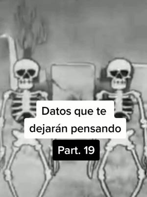 A post by @drashlly on TikTok caption: Datos que te dejarán pensando 😥 #datos #curiosidades #SabiasQue 