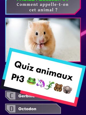 A post by @quizorama on TikTok caption: Vous avez aimé les 2 premiers quiz animaux alors voici la partie 3 😘 EP2 : @quizorama  #quiz #animaux #quiztime #chien #chats 