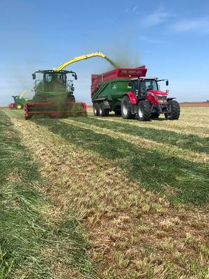 A post by @zoeykzz on TikTok caption: La belle journée ! Deux ensileuses 💨 #agricultrice #ensilage #agriculturetiktok 