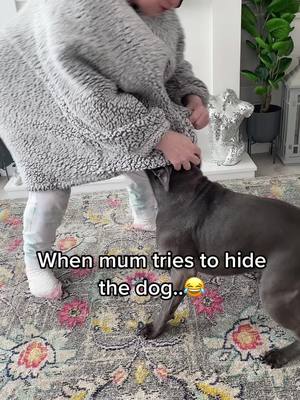 A post by @rebecca.stewart91 on TikTok caption: My mum is too funny 😂 #funnymum #scottishmum #dog #dogsoftiktok #funny #funnyvideo #fyp #foryoupage #viral #staffy #staffordshirebullterrier #bluestaffy #pets #PetsOfTikTok #scottishbanter 