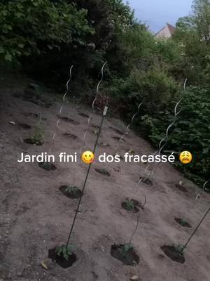 A post by @lali.1971 on TikTok caption: #jardinfini#🥰