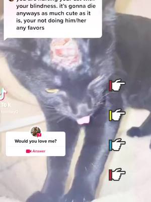 A post by @user688543600911 on TikTok caption: #question from @hgsd6572  Would you love me?#foryou#pet#cat#dog