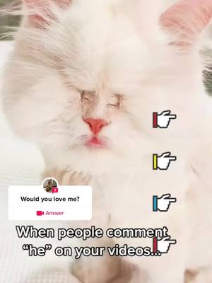 A post by @user688543600911 on TikTok caption: #question from @hgsd6572  Would you love me?#foryou#pet#cat#dog