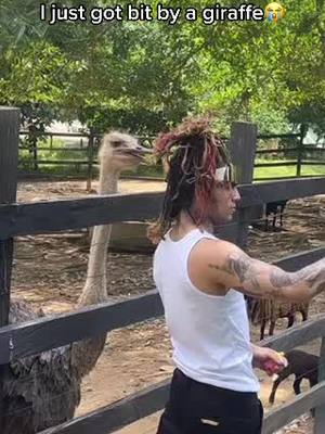 A post by @lilpump on TikTok caption: I JUST GOT BIT BY A GIRAFFE 😭 #xyzbca #viral #foryou #giraffe 