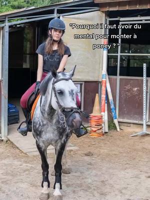 A post by @mathildenoisette20 on TikTok caption: #equitation #mental #cavalier #cavaliere #saut #pourtoi 