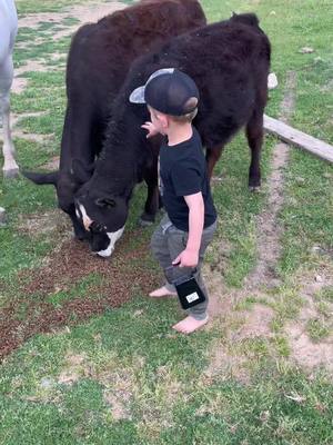 A post by @nismojames on TikTok caption: Farm life #california #daddysboy #coolkid #farmlife #cow #horse #happycowshappylife #country #countrylife 