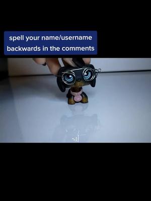 A post by @lps_seasick on TikTok caption: sorry I've been gone for a hot minute... #lps #littlestpetshop #lpsseasick #lpstiktok #lpscollector #lpstok #lpstube #lpstiktoker