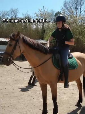 A post by @mathildenoisette20 on TikTok caption: #trend #trendequitation #poney #pourtoi 