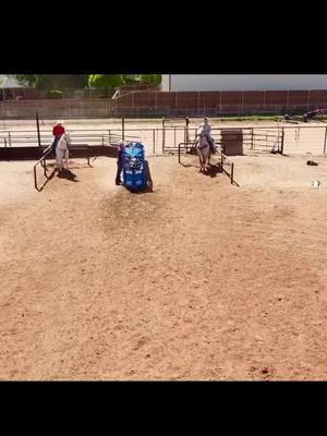 A post by @coltbhoney on TikTok caption: Fun practice the other day on Rocket! Cool to see this angle from a drone! #texastechrodeo #bbccattlecompany #rodeo #steerwrestling #prca #horse #roping #cowboy #ranch 