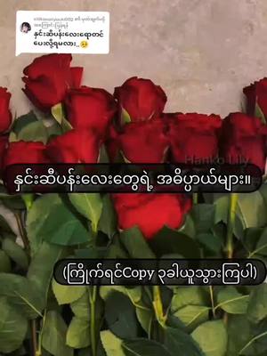 A post by @vampire_lii on TikTok caption: @shikimoriyuuki002 သို့ အကြောင်းပြန်နေသည် နှင်းဆီပန်းကြိုက်တဲ့သူတွေ ရပါပြီ🌹💗#foryou #မဖလုတ်ပါနဲ့ပလိစ့် #views #fypシ #fypပေါ်ရောက်ချင်မိ😾🖤 #tiktok #fypシ゚viral #viewတွေရှယ်ကျ😞✋ #likes 