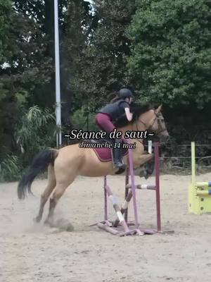 A post by @mathildenoisette20 on TikTok caption: #CapCut #seancesaut #equitation #poney #cheval #saut #sport 