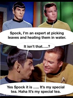 A post by @startrekcomedy1701 on TikTok caption: #Summer #Sunday #Mother #startrek #kirk #spock #foryoupage #fyp #thirsty #monday #tea