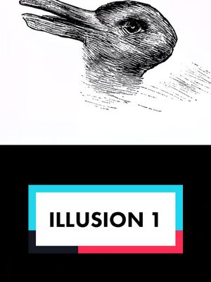 A post by @brainexplorers on TikTok caption: 🧠 Alors, tu as d’abord vu le 🦆 ou le 🐇 ? #france #illusion #fyp #pourtoi #psychologie 