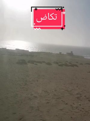 A post by @rachidiktibsurfcasting on TikTok caption: #المغرب🇲🇦تونس🇹🇳الجزائر🇩🇿 #اكادير #تكاض #تفنيت #سوس 