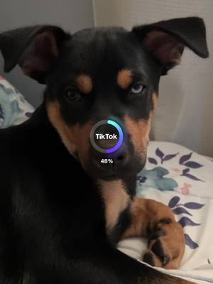 A post by @yanaschwartz6 on TikTok